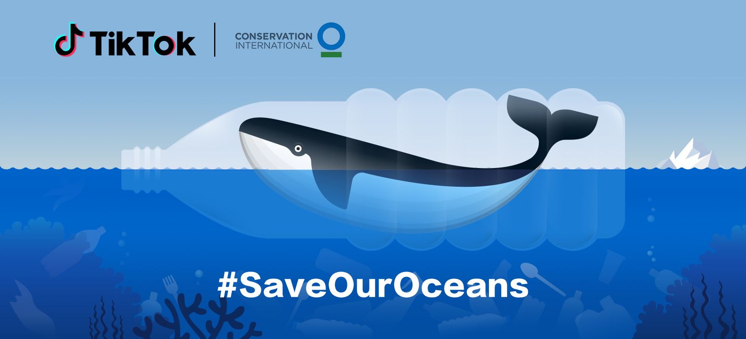 SaveOurOceans Together with TikTok and Conservation International | TikTok  Newsroom